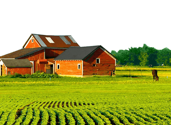 Laudo de Avalição de Imóvel Rural